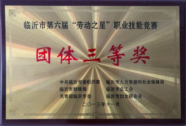 职业技能竞赛三等奖